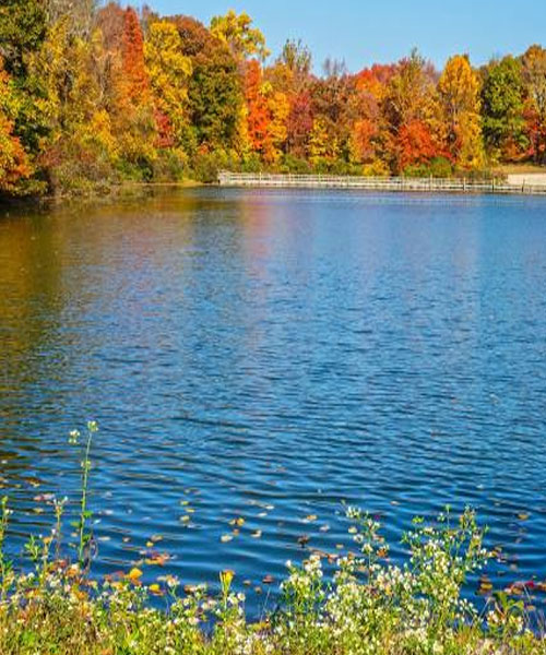 taxi-service-morris-county taxi-service-morris-county